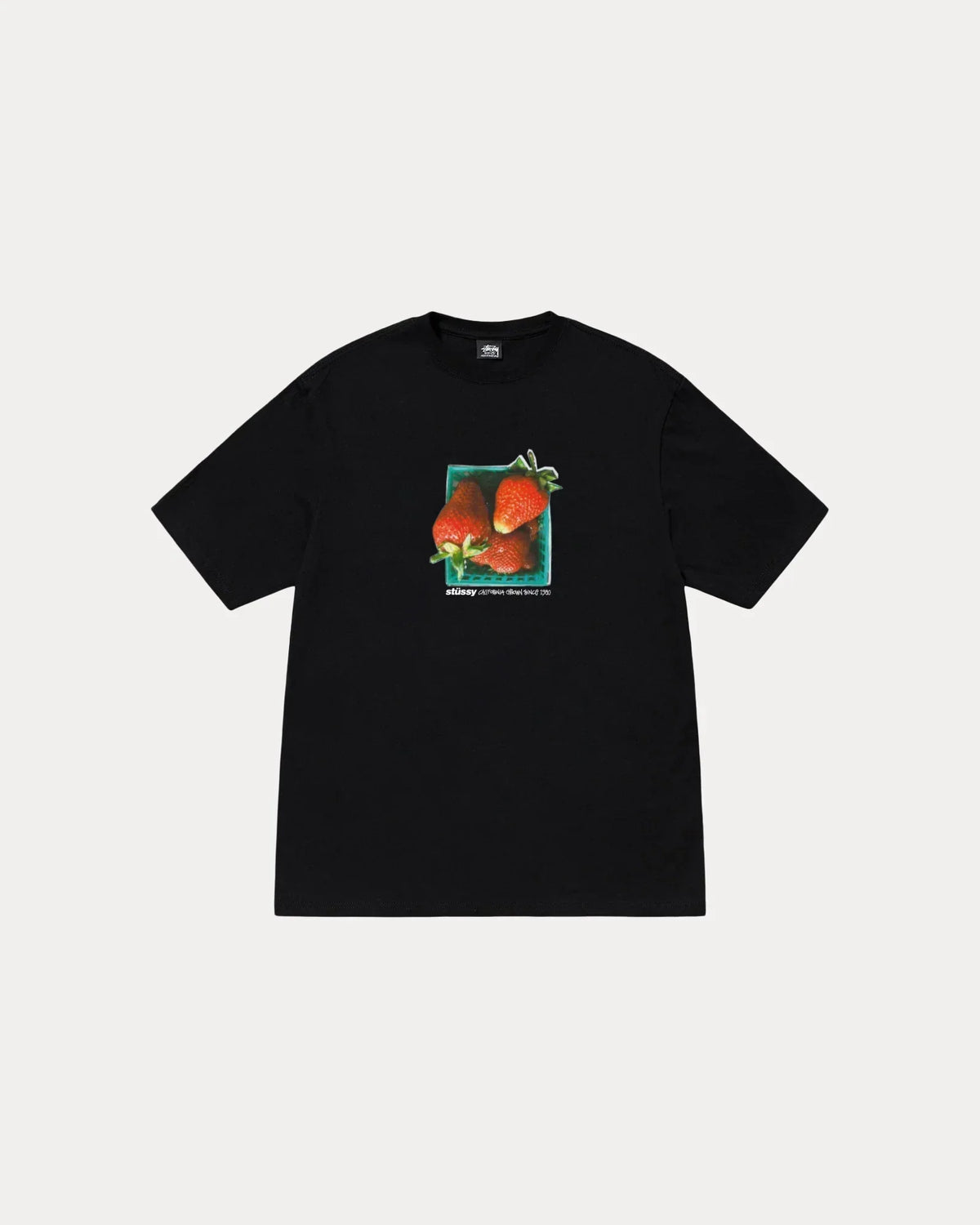STUSSY BERRIES TEE