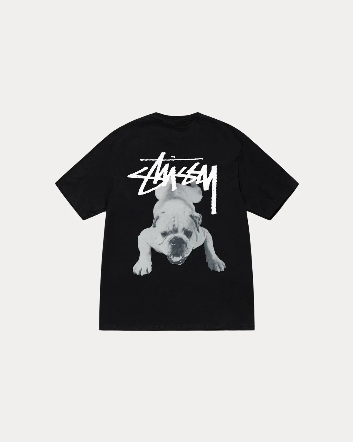 STUSSY STOCK DOG TEE